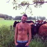 Cows photobomb Gios